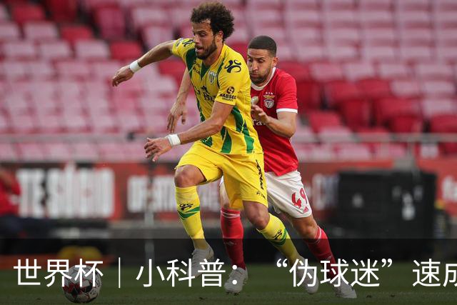 世界杯｜小科普：“伪球迷”速成手册